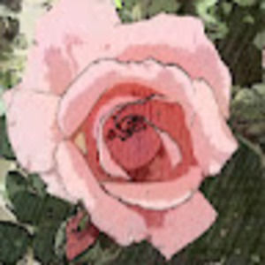 Meet your Posher, Kime